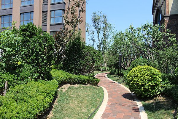 深度解析 保利梧桐语——天津品质住宅的居住体验与升值潜力评估