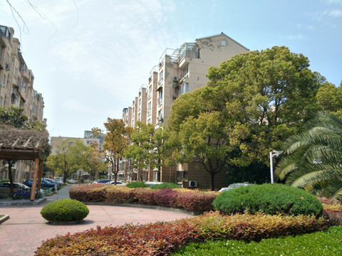 住宅小区绿化景观 从设计原则到功能价值的全面解析